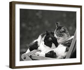 Little Nap in the Sun-Maurice Subervie-Framed Art Print