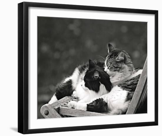 Little Nap in the Sun-Maurice Subervie-Framed Art Print