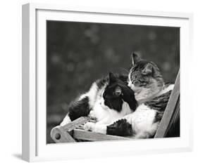 Little Nap in the Sun-Maurice Subervie-Framed Art Print