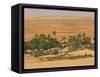 Little Oasis Between Sand Dunes at Sunset, Near Chinguetti, Mauritania, Africa-Michael Runkel-Framed Stretched Canvas