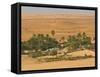 Little Oasis Between Sand Dunes at Sunset, Near Chinguetti, Mauritania, Africa-Michael Runkel-Framed Stretched Canvas