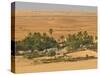 Little Oasis Between Sand Dunes at Sunset, Near Chinguetti, Mauritania, Africa-Michael Runkel-Stretched Canvas