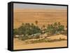 Little Oasis Between Sand Dunes at Sunset, Near Chinguetti, Mauritania, Africa-Michael Runkel-Framed Stretched Canvas