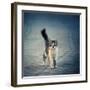 Little One-Dejan Ilijic-Framed Giclee Print