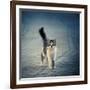 Little One-Dejan Ilijic-Framed Giclee Print