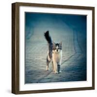 Little One-Dejan Ilijic-Framed Photographic Print