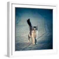 Little One-Dejan Ilijic-Framed Photographic Print