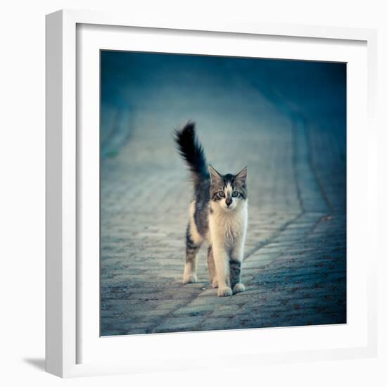 Little One-Dejan Ilijic-Framed Photographic Print