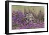 Little Owl (Athene noctua) adult, standing amongst flowering heather, Suffolk, England-Paul Sawer-Framed Photographic Print