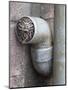 Little Owl (Athene Noctua) in Drainpipe, Captive, United Kingdom, Europe-Ann & Steve Toon-Mounted Photographic Print