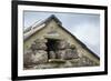 Little Owl (Athene Noctua) Roosting in Stone Field Barn, Peak District National Park, Derbyshire Uk-Alex Hyde-Framed Photographic Print