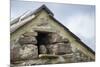 Little Owl (Athene Noctua) Roosting in Stone Field Barn, Peak District National Park, Derbyshire Uk-Alex Hyde-Mounted Photographic Print