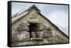 Little Owl (Athene Noctua) Roosting in Stone Field Barn, Peak District National Park, Derbyshire Uk-Alex Hyde-Framed Stretched Canvas