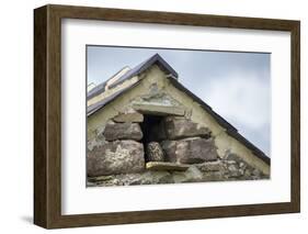 Little Owl (Athene Noctua) Roosting in Stone Field Barn, Peak District National Park, Derbyshire Uk-Alex Hyde-Framed Photographic Print