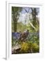 Little Owl in Bluebell Wood-null-Framed Photographic Print