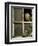 Little Owl in Window of Derelict Building, UK, January-Andy Sands-Framed Premium Photographic Print