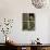 Little Owl in Window of Derelict Building, UK, January-Andy Sands-Photographic Print displayed on a wall