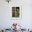 Little Owl in Window of Derelict Building, UK, January-Andy Sands-Framed Photographic Print displayed on a wall