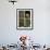 Little Owl in Window of Derelict Building, UK, January-Andy Sands-Framed Photographic Print displayed on a wall