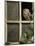 Little Owl in Window of Derelict Building, UK, January-Andy Sands-Mounted Photographic Print