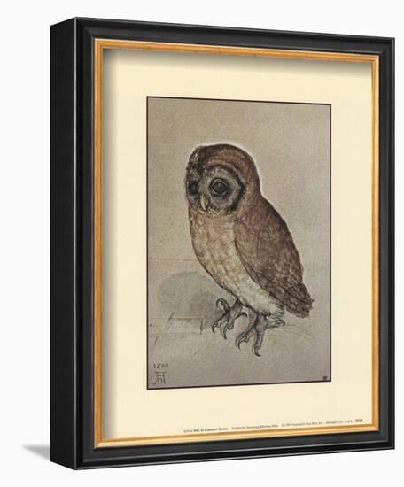 Little Owl-Albrecht Dürer-Framed Art Print