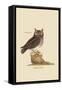 Little Owl-Mark Catesby-Framed Stretched Canvas