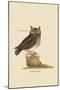 Little Owl-Mark Catesby-Mounted Art Print