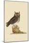 Little Owl-Mark Catesby-Mounted Art Print