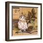 Little Owls I-Patricia Pinto-Framed Art Print
