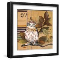 Little Owls I-Patricia Pinto-Framed Art Print