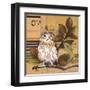 Little Owls I-Patricia Pinto-Framed Art Print