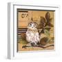 Little Owls I-Patricia Pinto-Framed Art Print