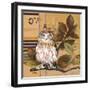 Little Owls I-Patricia Pinto-Framed Art Print