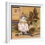 Little Owls I-Patricia Pinto-Framed Art Print