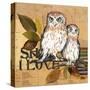 Little Owls II-Patricia Pinto-Stretched Canvas