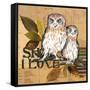 Little Owls II-Patricia Pinto-Framed Stretched Canvas