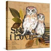 Little Owls II-Patricia Pinto-Stretched Canvas