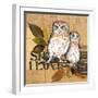 Little Owls II-Patricia Pinto-Framed Art Print