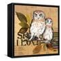 Little Owls II-Patricia Pinto-Framed Stretched Canvas