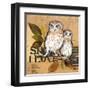 Little Owls II-Patricia Pinto-Framed Art Print