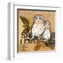 Little Owls II-Patricia Pinto-Framed Art Print