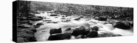 Little Pigeon River Great Smoky Mountains National Park Tennessee, USA-null-Stretched Canvas