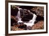 Little Pigeon River, Great Smoky Mountains NP, Tennessee, USA-Jerry Ginsberg-Framed Photographic Print