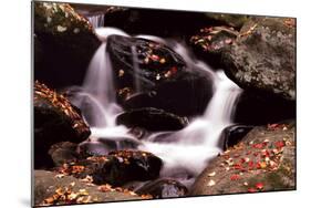 Little Pigeon River, Great Smoky Mountains NP, Tennessee, USA-Jerry Ginsberg-Mounted Photographic Print