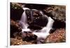Little Pigeon River, Great Smoky Mountains NP, Tennessee, USA-Jerry Ginsberg-Framed Photographic Print