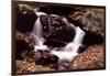 Little Pigeon River, Great Smoky Mountains NP, Tennessee, USA-Jerry Ginsberg-Framed Photographic Print