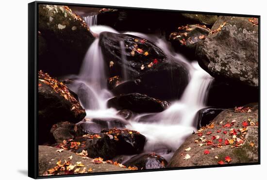 Little Pigeon River, Great Smoky Mountains NP, Tennessee, USA-Jerry Ginsberg-Framed Stretched Canvas