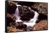 Little Pigeon River, Great Smoky Mountains NP, Tennessee, USA-Jerry Ginsberg-Framed Stretched Canvas