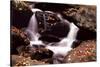 Little Pigeon River, Great Smoky Mountains NP, Tennessee, USA-Jerry Ginsberg-Stretched Canvas