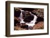 Little Pigeon River, Great Smoky Mountains NP, Tennessee, USA-Jerry Ginsberg-Framed Photographic Print